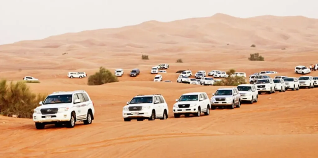 Standard Safari in Dubai with Dune Buggy Adventure